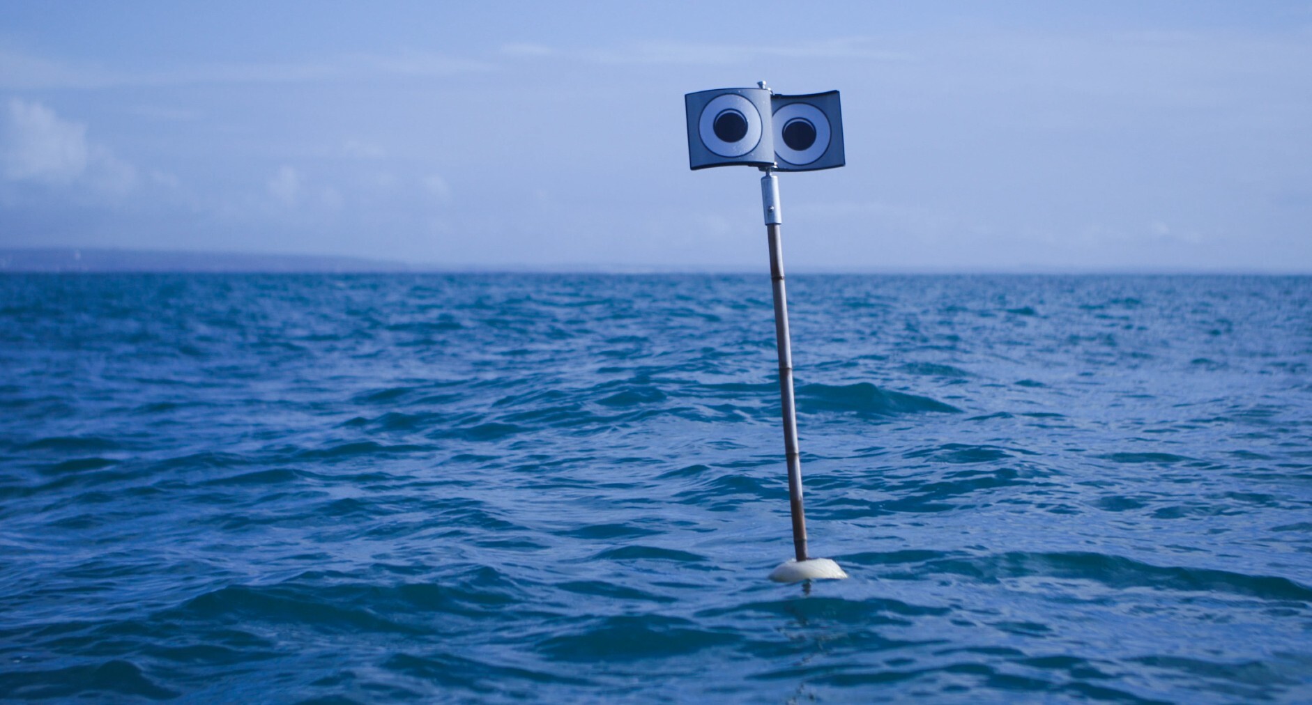 The Fascinating Role of ‘Floating Scarecrows’ in Nature’s Eye Psychology